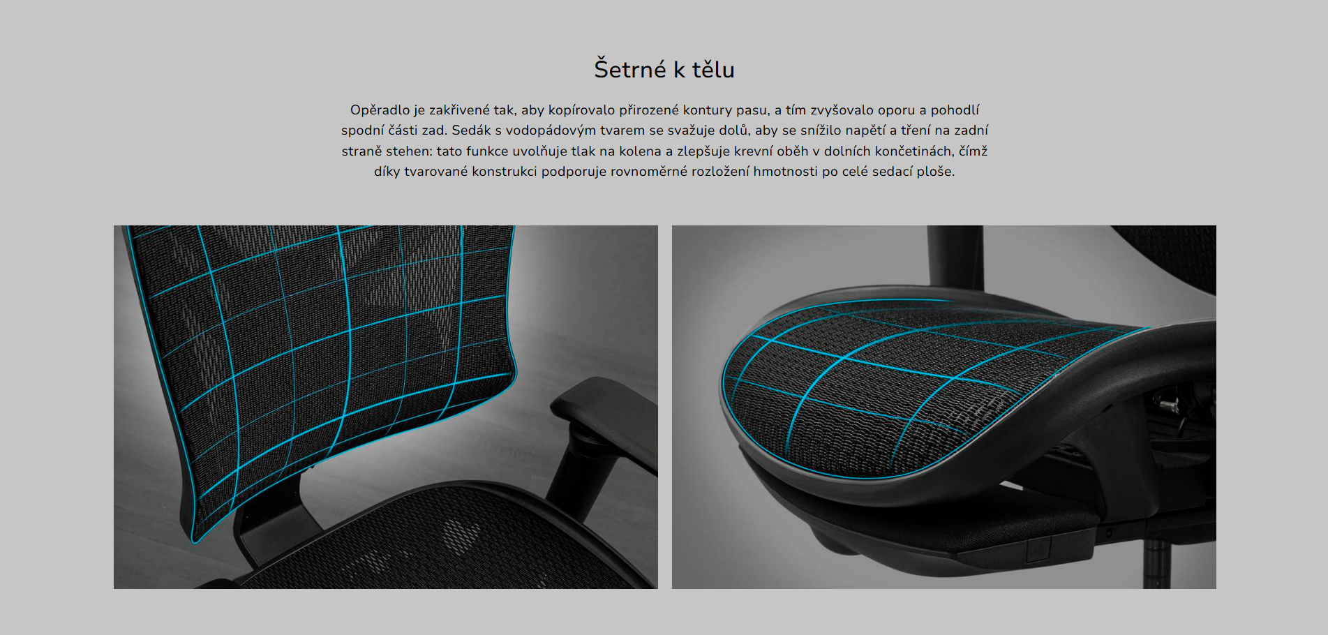 Snímek obrazovky 2026-03-12 100726